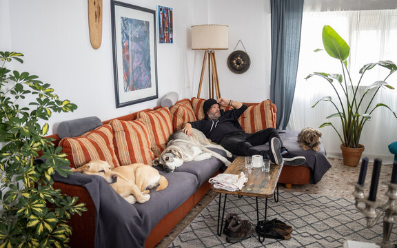 A man shares a sofa with three dogs