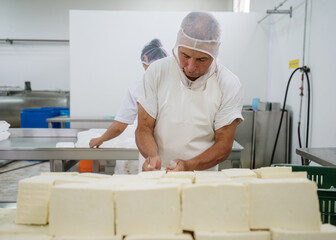 Cheese factory worker packaging blocks of cheese