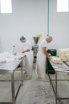 Employees working in a dairy company