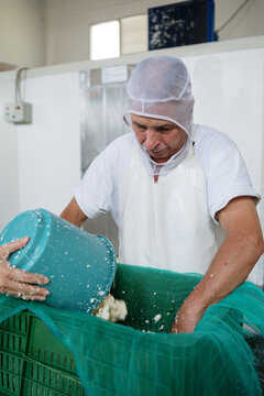 Cheesemaker pouring curd into cheese mould with help of colleague
