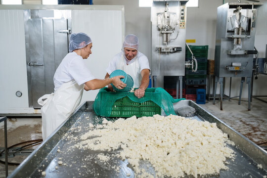 Cheesemakers pour curd into a mold for pressing