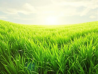 Obraz premium vibrant green blades of grass swaying in the wind, open space, , serene atmosphere