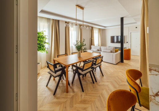 Contemporary open-plan living and dining room with modern decor