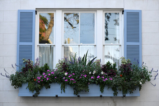Flower Box On A House With Blue Shutters
