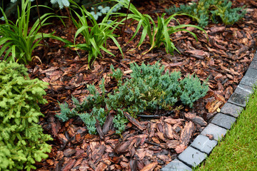 A Beautiful and Lush Garden Landscape Enhanced with Mulch and Vibrant Greenery all Around