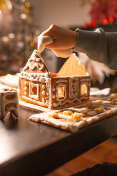 boy made ginger christmas house 