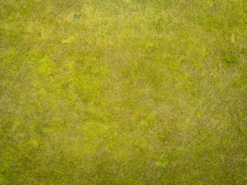 vue a&eacute;rienne prise avec un drone montrant une clairi&egrave;re ou une &eacute;tendue d'herbe. Arri&egrave;re plan textur&eacute; pour illustrer des concepts d'environnement et d'&eacute;cologie.