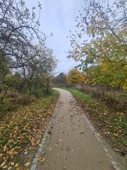 Naturpfad in einem Park in Hellersdorf in Berlin, mit atmosphärischem Himmel