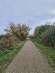 Naturpfad in einem Park in Hellersdorf in Berlin, mit atmosphärischem Himmel