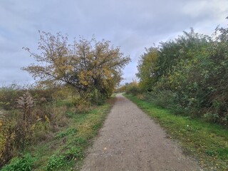 Naturpfad in einem Park in Hellersdorf in Berlin, mit atmosphärischem Himmel