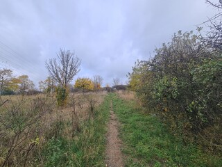 Obraz premium Naturpfad in Berlin Hellersdorf - Marzahn (mit atmosphärischem Himmel, Herbstsaison)