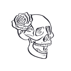 Hand drawn black and white sketchy floral human skull isolated on white background. Doodle skeleton head with rose flower tattoo design.