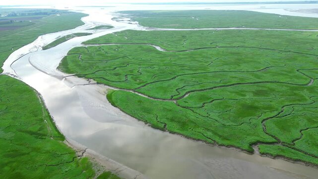 Aerial view of tidal channels and gullies, Saeftinge, The Netherlands