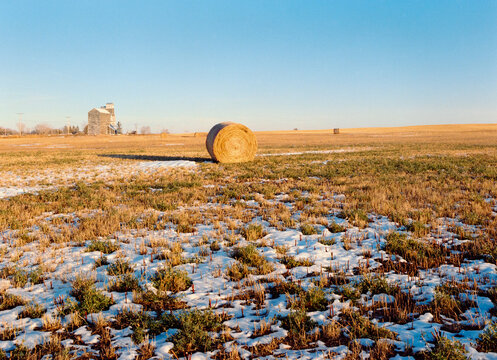 grain elevator 