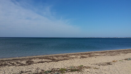 beach in the morning