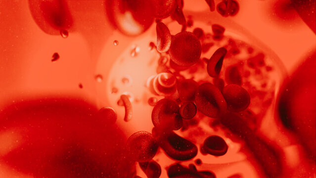 Macro photograph of red blood cells flowing through an arterial vein