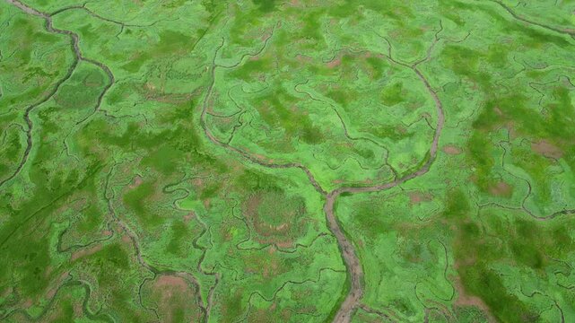 Aerial view of tidal channels and gullies, Saeftinge, The Netherlands