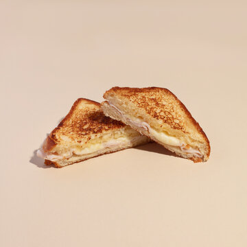 Toasted Sandwich with Ham and Cheese