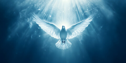 Dove in Celestial Light Catholic Artwork, Divine Dove Illustration Spiritual Christian Art, Holy Spirit Dove Catholic