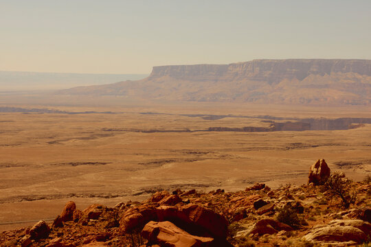 Desert outlook