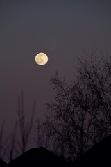 Full moon in the winter