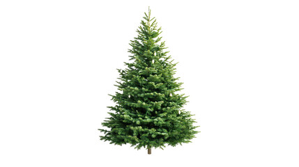 Fototapeta premium An Evergreen Tree Covered in Snow Standing Tall in a Beautiful Winter Wonderland Scene