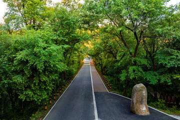 Obraz premium Moon Bay, Jingyuetan National Forest Park, Changchun, China in summer