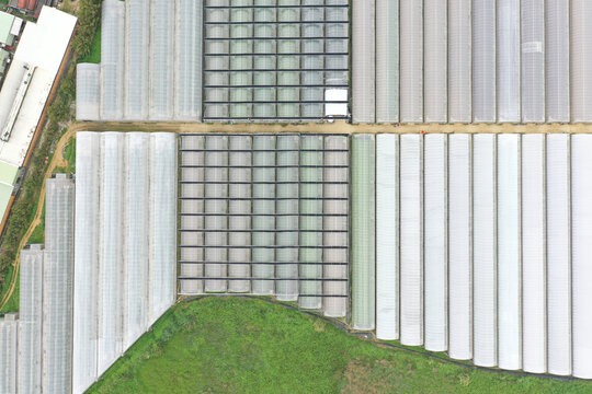 Aerial View of Massive Greenhouse Complex Revolutionizing.