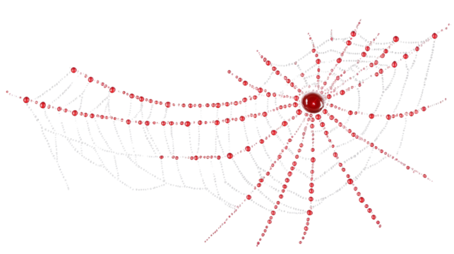 Spider web transparent background