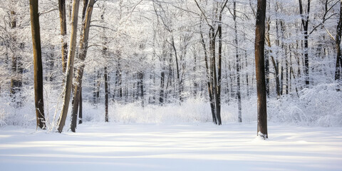 Naklejka premium A tranquil snow-covered forest in winter, with tall trees glistening with frost, a soft blanket of snow on the ground, and sunlight streaming through the branches. The serene setting is magical.