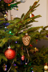 Multicolored Christmas tree balls and toys on a live Christmas tree close-up. Family traditions of celebrating Christmas and New Year.