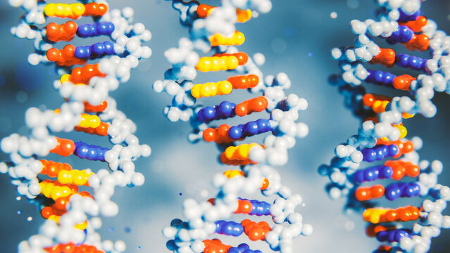 Colorful DNA Helix Structures in 3D Visualization