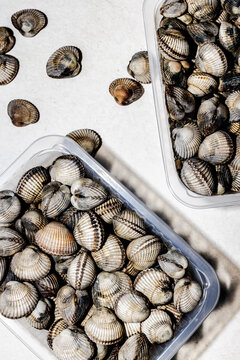 Cockles, clams