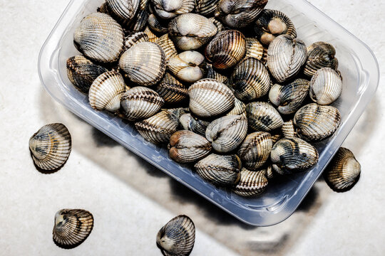 Cockles, clams