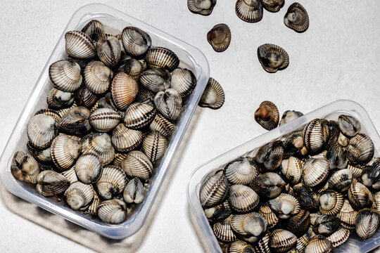 Cockles, clams