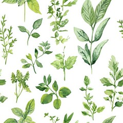 Fresh Herbs in Whimsical Watercolor Style