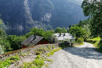 Scenic Mountain Village Road with Quaint Houses and Fjord View