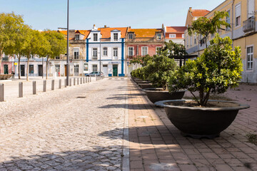 Pots with plants on the sidewalk of the street, in the historic center of the city of Setúbal, Portugal