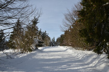 Obraz premium Sunny Winter Day in the Czech Mountains – Beskydy, Pustevny, Radhost