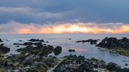 日本周遊　三浦半島荒崎海岸