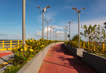 The cycle path decorated with yellow flowers, on the seafront of the city of São José de Ribamar, state of Maranhão, northeastern Brazil.