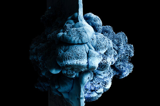 Abstract blue particles forming organic shapes
