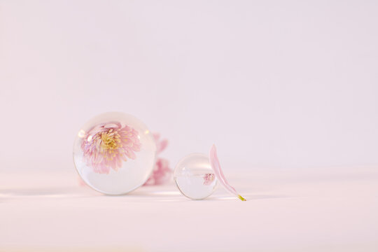 Reflection of delicate flowers enclosed in crystal spheres