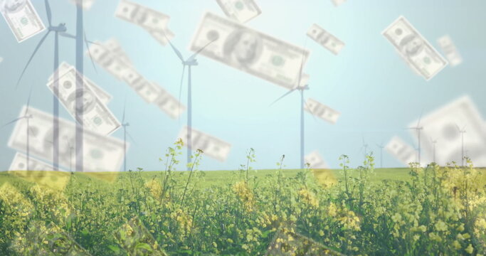Wind turbines in field with money falling image - Powered by Adobe