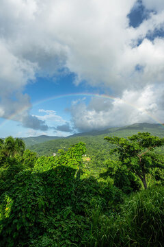 Rainbow over lush El Yunque Rainforest
