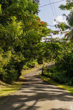 Shaded mountain road near El Yunque rainforest
