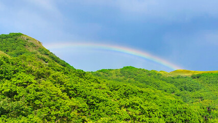 Lush forest and rolling green hills beneath a vibrant rainbow