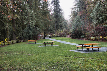 Path in park, biside piknic table in autumn season 2024