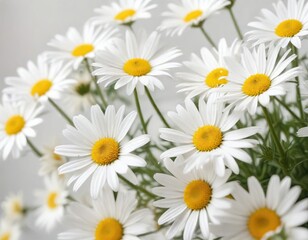 Fototapeta premium Abstract composition of fresh daisies in blur filter against a soft white background, airy texture, abstract art, delicate petals