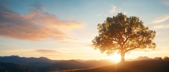 Fototapeta premium A serene sunset landscape featuring a solitary tree and mountains.